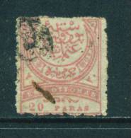 TURKEY - 1876 Issues 20pa Used As Scan - Gebruikt