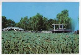 Postcard - North Korea    (V 15009) - Korea (Nord)