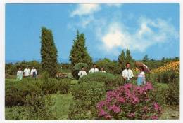 Postcard - North Korea    (V 15013) - Korea (Nord)