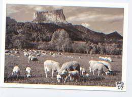 Isère (38), Mont Aiguille, Chichilianne, Trièves, Moutons, Agneaux, Coll. Les Pastorales, Editions Iris - Vercors