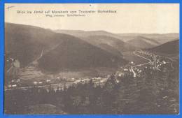 Deutschland; Mannebach; Blick Ins Jimtal Vom Trantvetter Borkenhaus; 1921 - Ilmenau