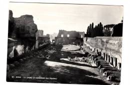 BR19031 Lo Stadio Domiziano Sul Palatino  Roma    2 Scans - Stadien & Sportanlagen