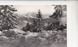 BR19117 Le Weisshorn  Crans S Sierre     2 Scans - Crans