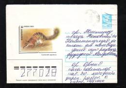RONGEURS WWF,1988,COVER STATIONERY ENTIER POSTAL,RUSSIA. - Roedores