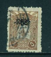 TURKEY - 1905 Printed Matter 5pi Used As Scan - Used Stamps