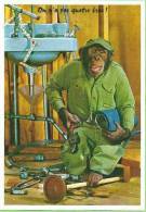 Singe Habillé En Plombier, Lavabo, Outils / Humour, On N'a Pas Quatre Bras! - Monkeys
