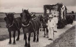 Tourinnes La Grosse Beauvechain Cortege Pour La Libération Fin De Guerre Congo Belge - Bevekom