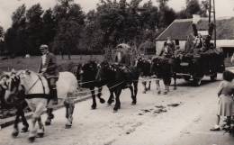 Tourinnes La Grosse Beauvechain Cortege Pour La Libération Fin De Guerre - Beauvechain