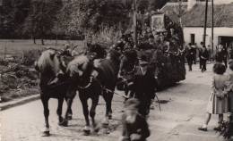 Tourinnes La Grosse Beauvechain Cortege Pour La Libération Fin De Guerre - Beauvechain