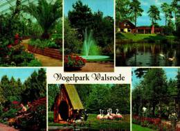 AK Vogelpark Walsrode, Gel 1972 - Walsrode