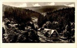 AK Friedrichroda, Blick Zum Kühlen Tal, Gel, 1955 - Friedrichroda