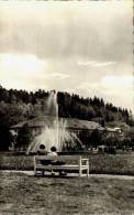 AK Ilmenau, Festhalle Mit Kurpark, Ung, 1960 - Ilmenau