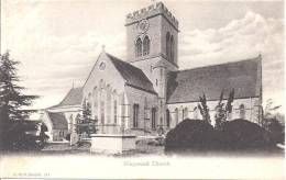 RINGWOOD - ( Hampshire ) - Church - Other & Unclassified