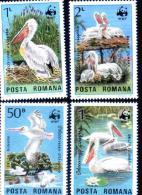 Romania Birds 1984  WWF Pelicans ** MNH. - Pelicans