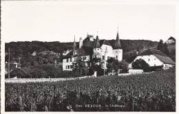 L 566 - Peseux Le Château - Peseux