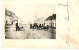 St-Truiden : Schurhoven --- Koeienspan --- 1902 - Sint-Truiden
