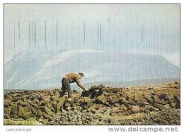 IRELAND / STACKING TURF IN DONEGAL - Donegal