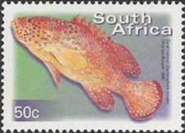 Republic Of South Africa 2000 - One Marine Life Sealife Fish Animal Fauna RSA Definitive Stamp MNH SACC 1293 SG 1210 - Unused Stamps