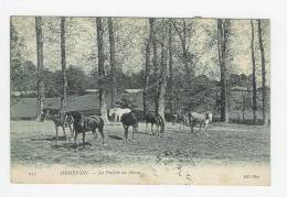 ORMESSON - La Prairie Du Haras - Ormesson Sur Marne