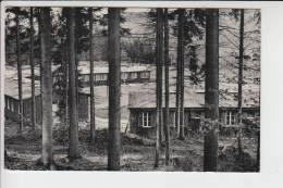 L 6550 BERDORF - WEILERBACH, Maison De Vacances 1960 - Berdorf
