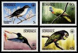 (003 W) Dominica  Birds / Oiseaux / Vögel / Vogels / WWF  ** / Mnh  Michel 836-39 - Dominique (1978-...)