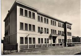 ROVIGO -  LICEO SCIENTIFICO - Rovigo