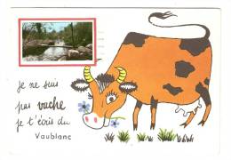 CPA - 22 - Côtes D'Armor : Vaublanc : " Je Ne Suis Pas Vache Je T'envoie Une Carte De Vaublanc" : Vache Dessinée  Photo - Autres & Non Classés