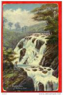 * Swallow Falls-Bettws Y Coed(Carte De Raphael Tuck Et Sons) - Caernarvonshire