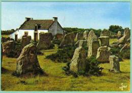 Bretagne ERDEVEN (56 Morbihan) Alignements Menhirs, Région De Carnac / éditions D'art JOS MX 3597 - Erdeven