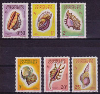 COMORES - 1962 - YVERT N°19/24 ** MNH - COTE = 47 EUR. - COQUILLAGES - Unused Stamps