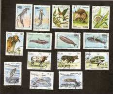 Bc.5. Cuba LOT Set Of 15 - FAUNA 1984 Animals Birds Bird Snail Cows Cow 1980 Whales Fish Dolphins Dolphin - Usati