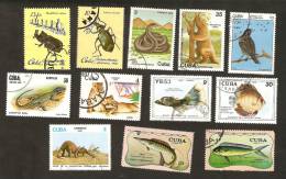 Bc.4. Cuba LOT Set Of 12 - FAUNA Animals 1977 Bird 1971 1978 Fish 1979 Lions 1980 Insects 1982 Reptiles Dinosaur 1984 - Used Stamps