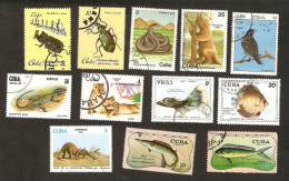 Bc.4. Cuba LOT Set Of 12 - FAUNA Animals 1977 Bird 1971 1978 Fish 1979 Lions 1980 Insects 1982 Reptiles Dinosaur 1984 - Gebruikt