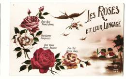 Carte Peinte Les Roses Et Leur Langage - Dos Vierge - Etat Superbe - Filosofie