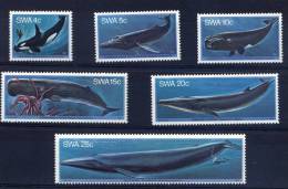 SOUTH WEST AFRICA 1980 Whales - Wale