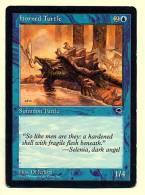 Karte Magic The Gathering  -  Summon Turtle  -  Horned Turtle  -  Englisch - Other & Unclassified