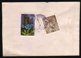 Bhutan  2  Stamps  Registered Cover To India  #  37299   Indien Inde - Bhoutan