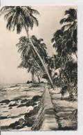 GUINEE,  CONAKRY LA CORNICHE,  EX Cond. REAL PHOTO PC Unused 1960s - Guinea