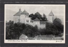 32051     Germania,     Schloss  Elgersburg,  Thur. Wald,  VGSB - Elgersburg