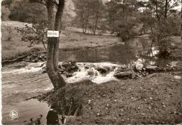 Bourseigne Cascade De La Houille Pres Du Moulin - Gedinne