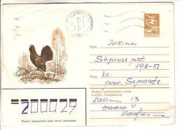 GOOD USSR Postal Cover 1983 - Bird - Grouse - Hoendervogels & Fazanten