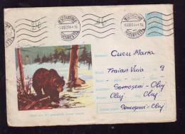 BEARS,OURS 1964 COVER STATIONERY ENTIER POSTAL RARE! ROMANIA. - Orsi