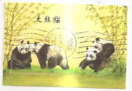 60466) 2003 - Austria Foglietto Usato Raffiguranti I Panda - Gebraucht