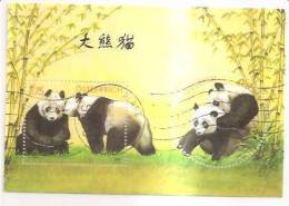 60467) 2003 - Austria Foglietto Usato Raffiguranti I Panda - Oblitérés