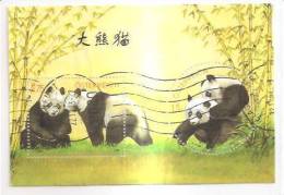 60470) 2003 - Austria Foglietto Usato Raffiguranti I Panda - Used Stamps