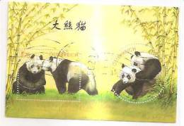 60473) 2003 - Austria Foglietto Usato Raffiguranti I Panda - Oblitérés