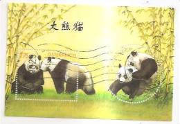 60474) 2003 - Austria Foglietto Usato Raffiguranti I Panda - Used Stamps