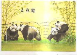 60475) 2003 - Austria Foglietto Usato Raffiguranti I Panda - Oblitérés
