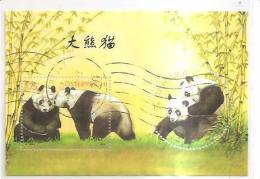 60476) 2003 - Austria Foglietto Usato Raffiguranti I Panda - Used Stamps