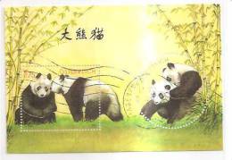 60478) 2003 - Austria Foglietto Usato Raffiguranti I Panda - Used Stamps